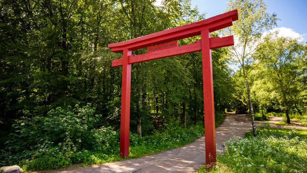 Den Jyske Skovhave (Der jütländische Waldgarten) 