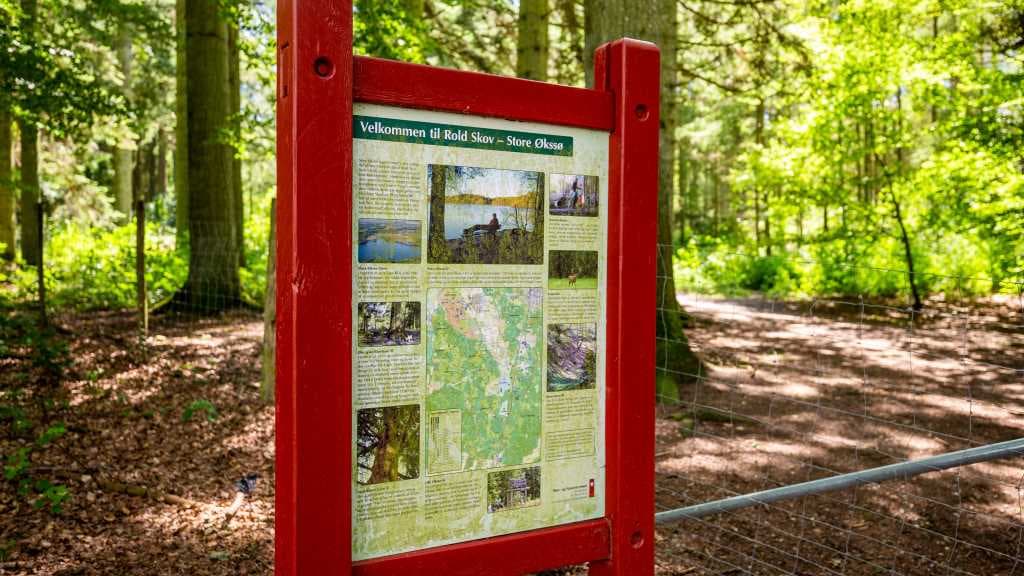 Den Jyske Skovhave (Der jütländische Waldgarten) 