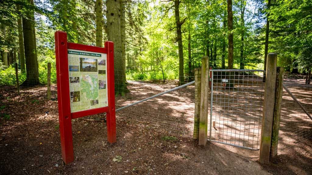 Den Jyske Skovhave (Der jütländische Waldgarten) 