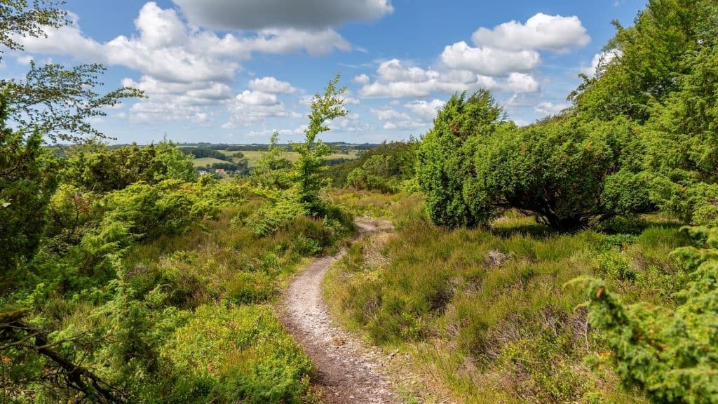 Nationalpark Rebild Bakker 