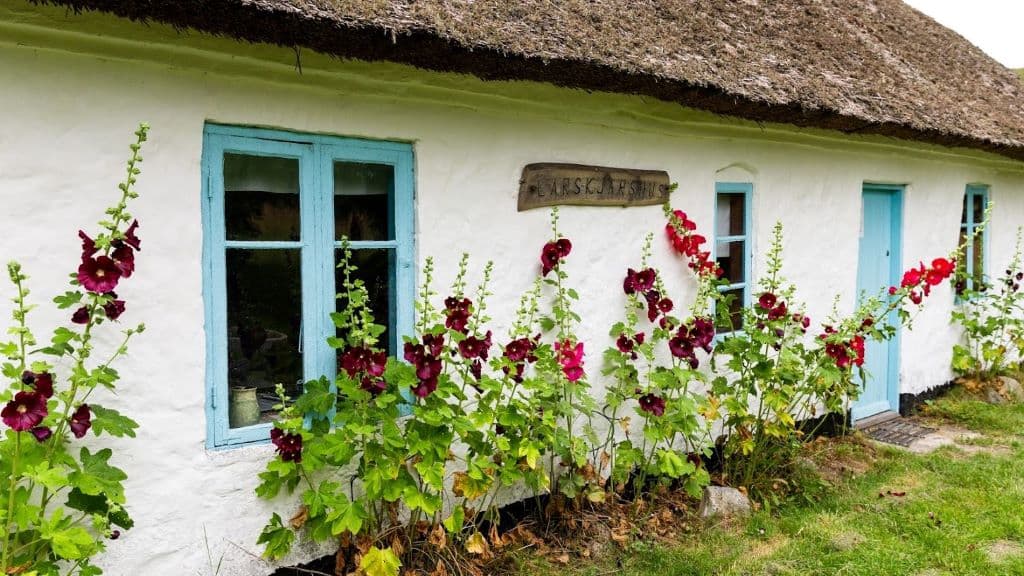 Nationalpark Rebild Bakker 