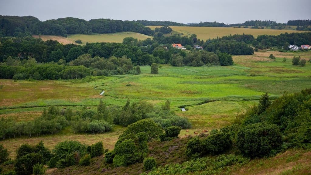 Lindenborg Å og Ådal