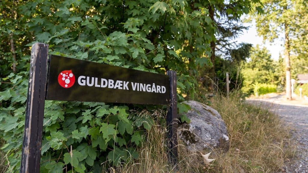 Guldbæk Weinberg