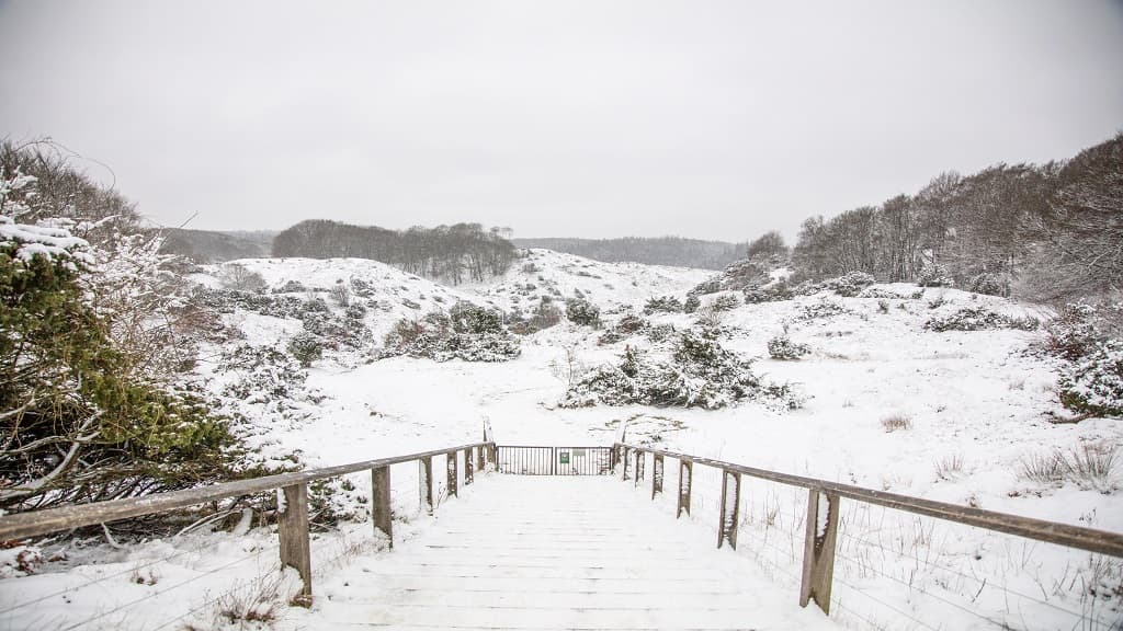 Nationalpark Rebild Bakker 