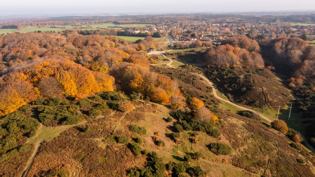 Sønderkol | Rebild Bakker