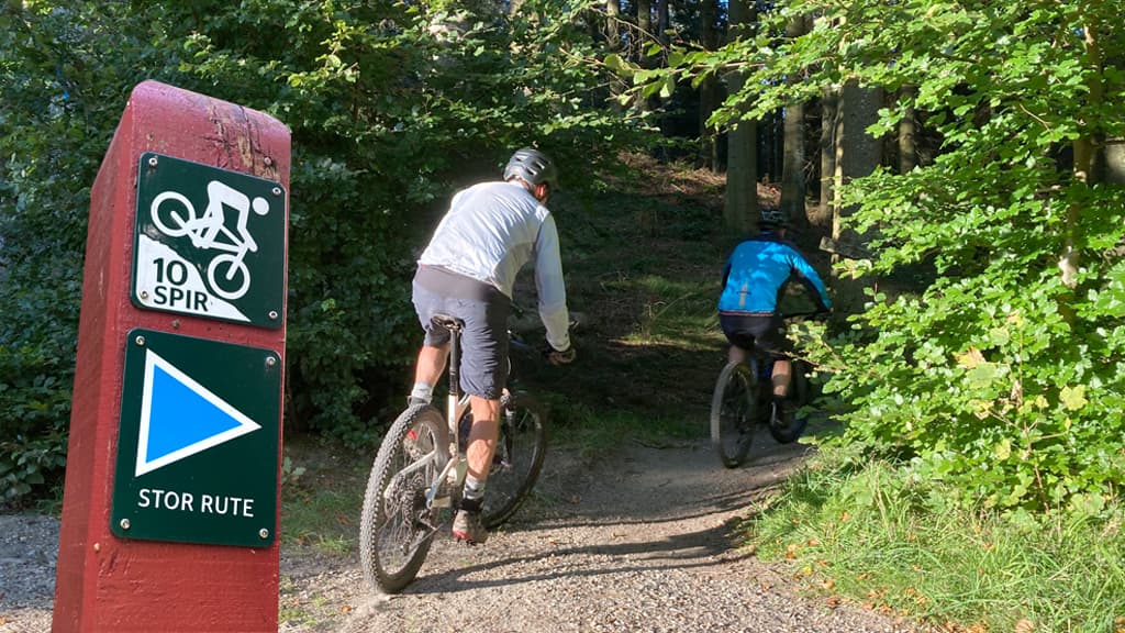 MTB Den store Rold Skov rute