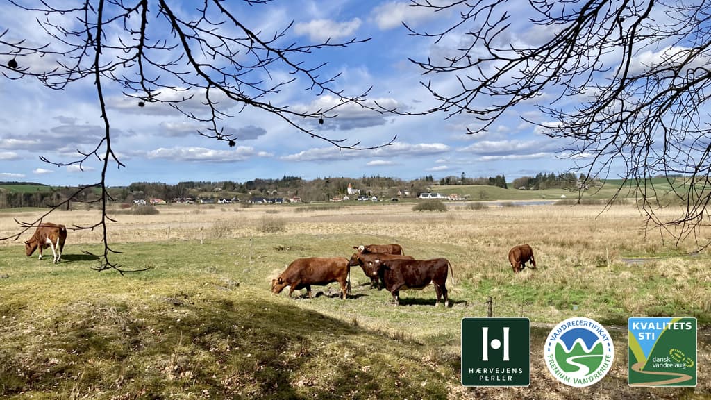 Gravlev Ådal Ruten, Rebild Bakker, Rold Skov