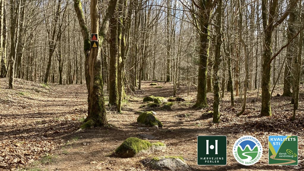 Gravlev Ådal Ruten, Rebild Bakker, Rold Skov