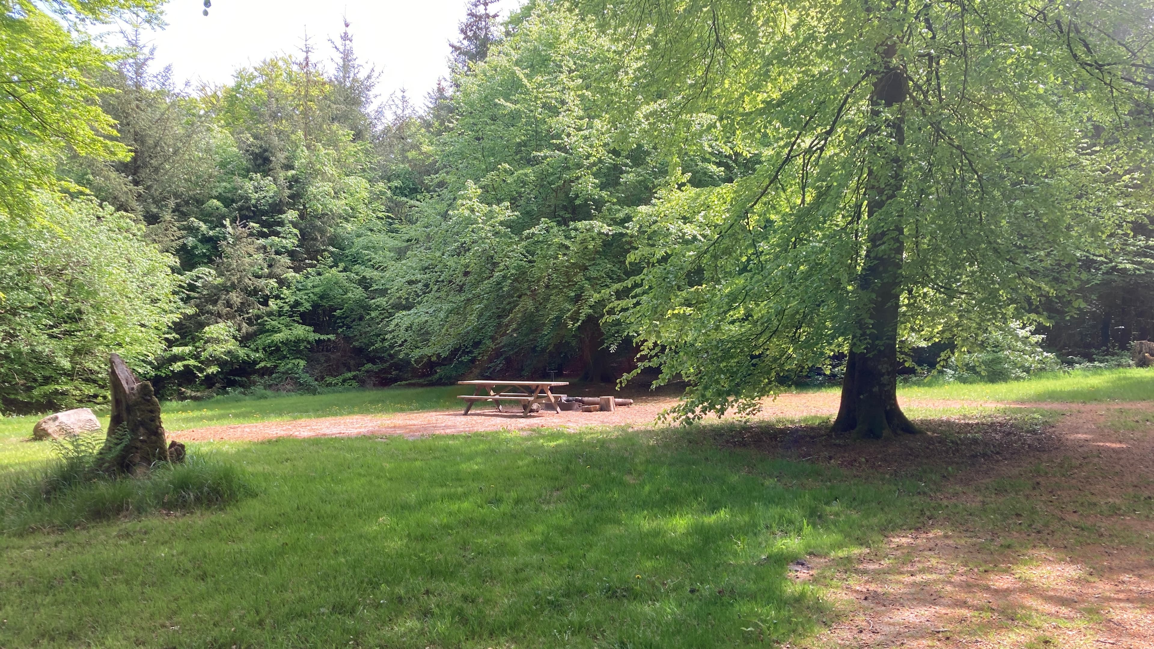 Bålpladsen Urskov ved Troldeskoven