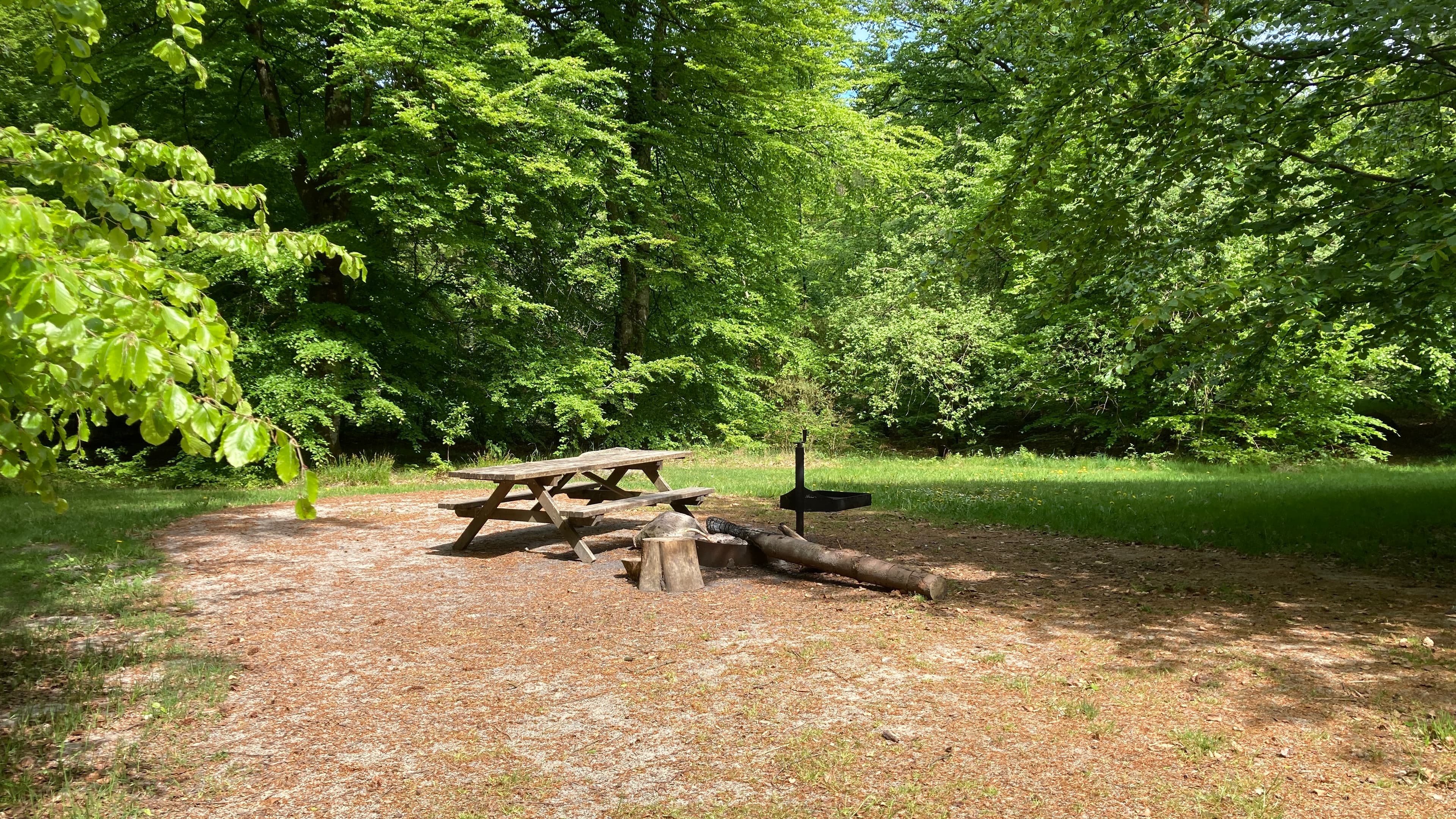 Bålpladsen Urskov ved Troldeskoven