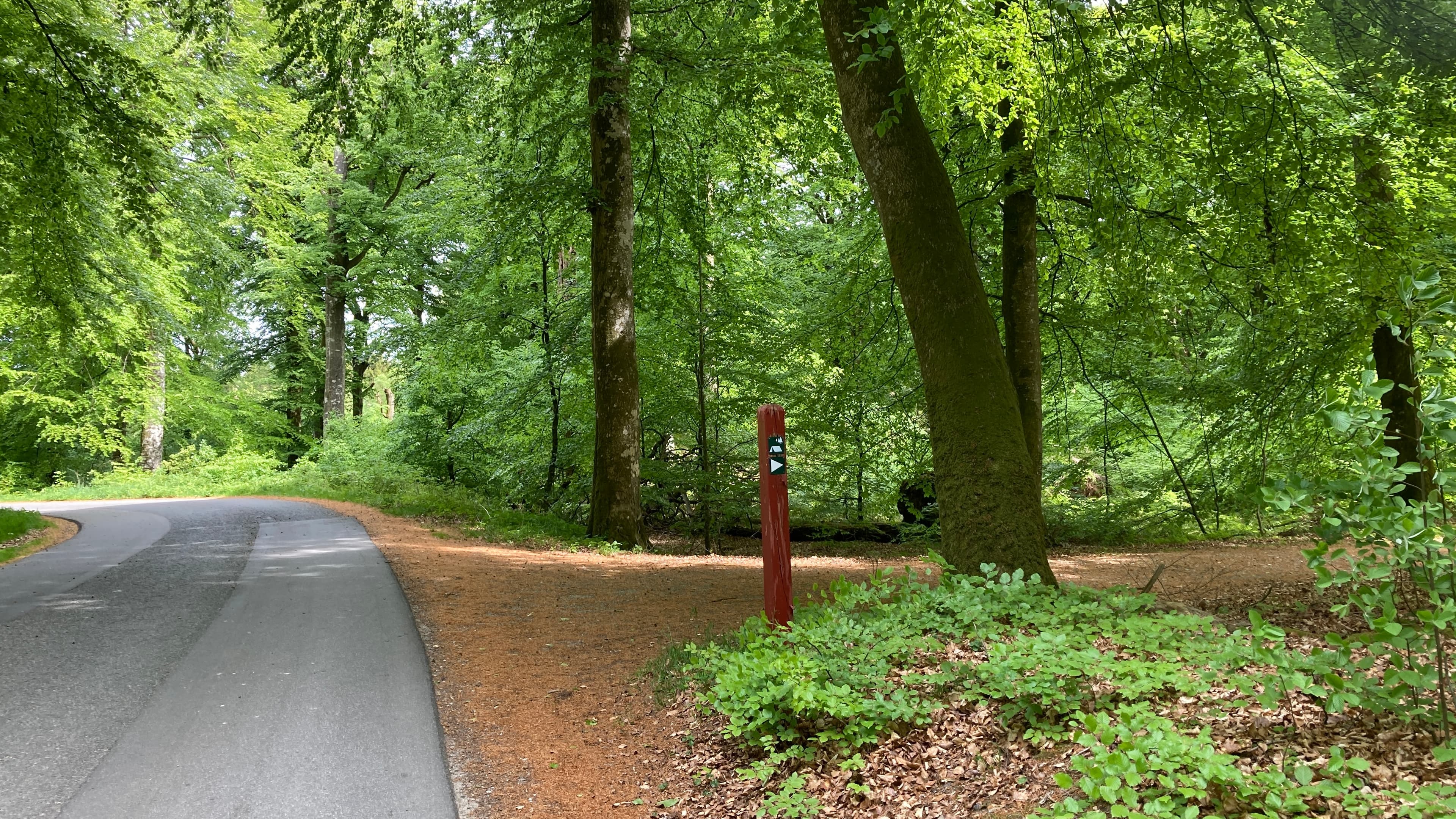 Flyverpladsen – primitiver Zeltplatz