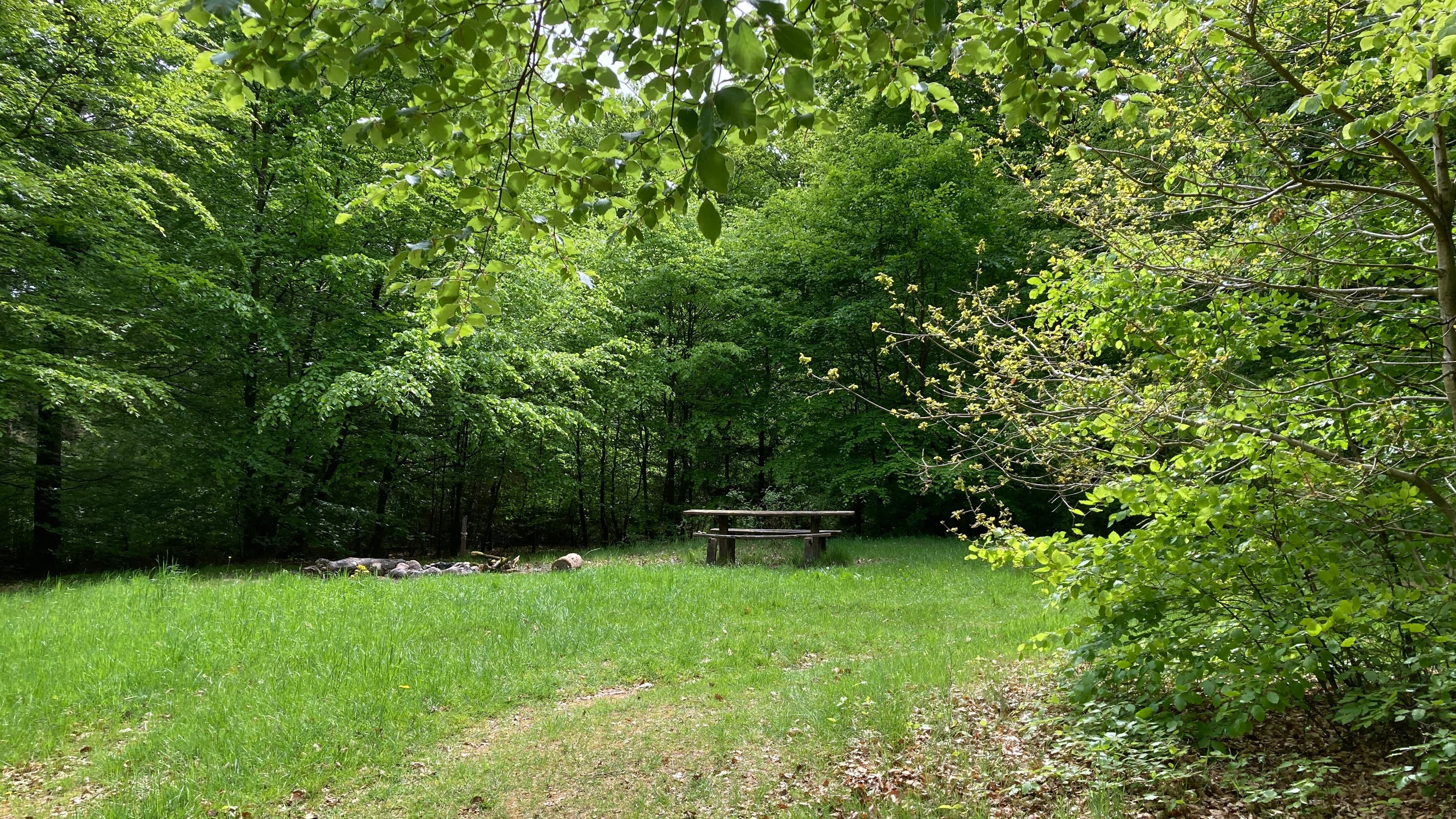 Flyverpladsen – primitiver Zeltplatz