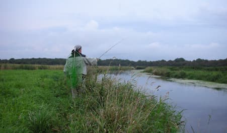 Fiskeri i Lindenborg Å