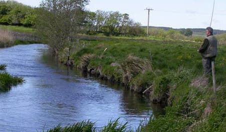 Fiskeri i Lindenborg Å