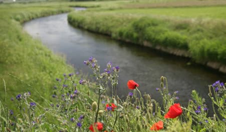 Fiskeri i Lindenborg Å