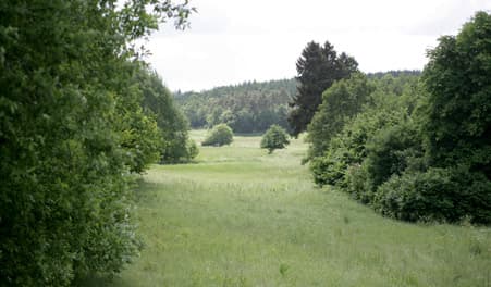 Fiskeri i Lindenborg Å