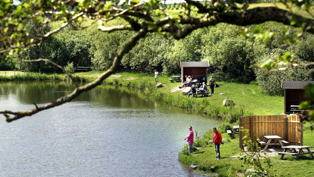Angeln im Volstrup Fiskepark (Angelpark)