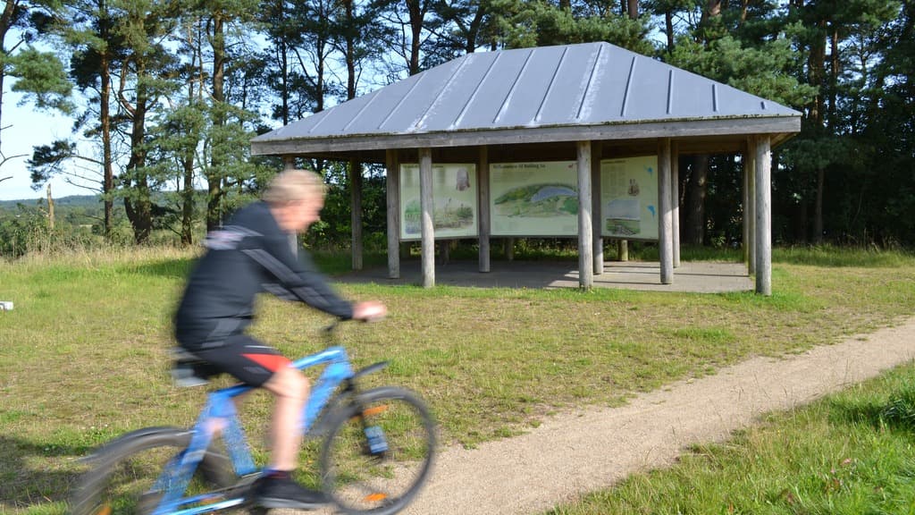Bølling Sø ved Silkeborg
