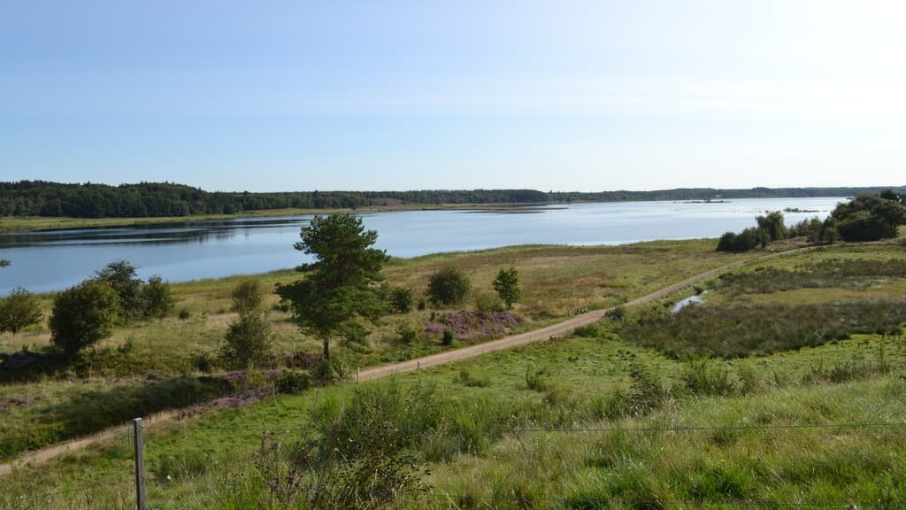 Bølling Sø ved Silkeborg
