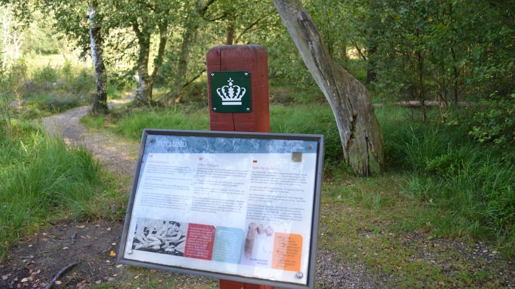 Bølling Sø ved Silkeborg