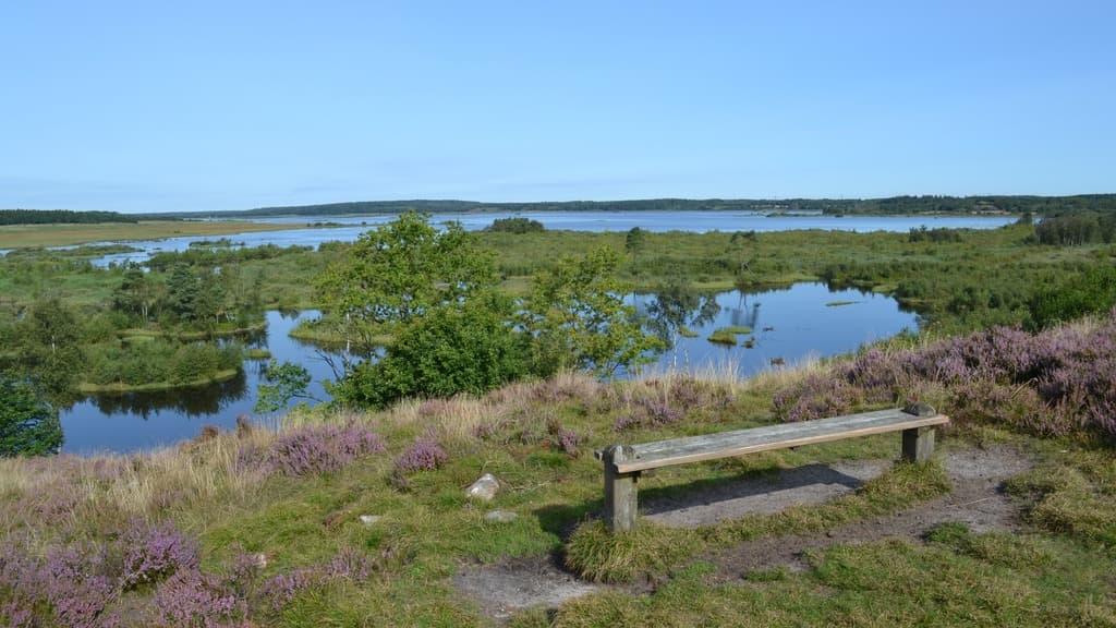 Bølling Sø ved Silkeborg