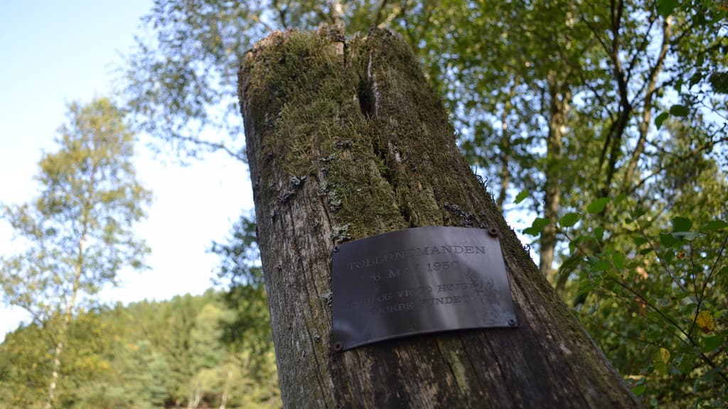 Tollundmandens fundsted