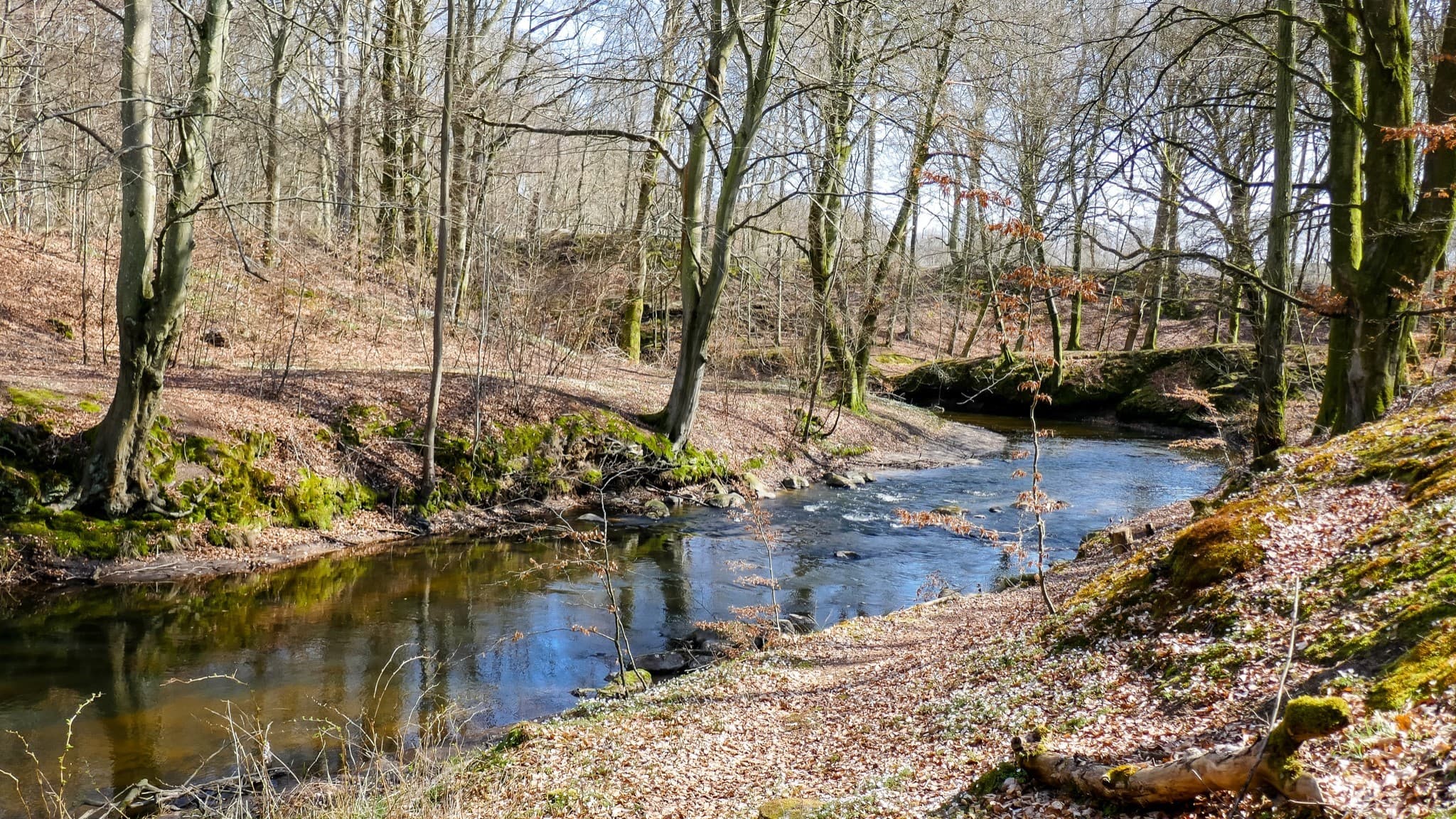 Nymølle Bæk - Østervrå