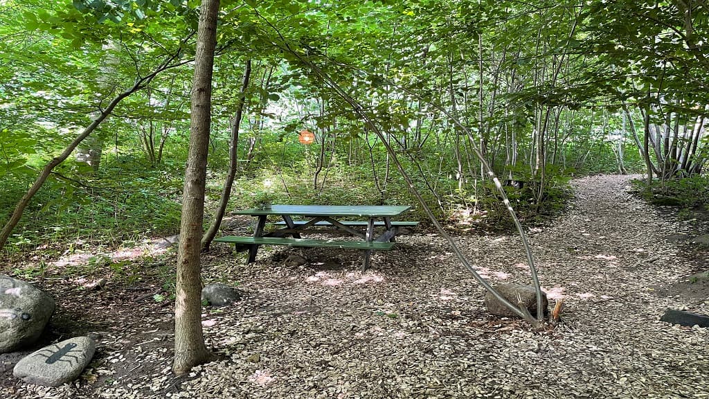 Ishuset ved Møllehuset