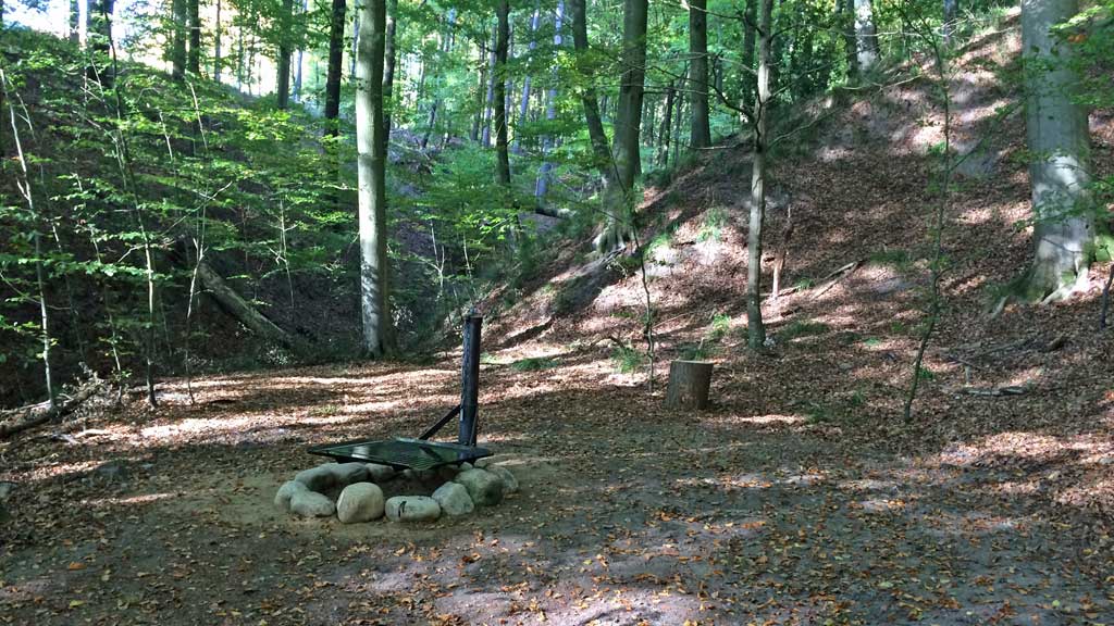 Kollund Skov - Teltplads