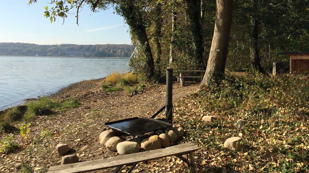 Kollund Skov - Kystnær shelterplads