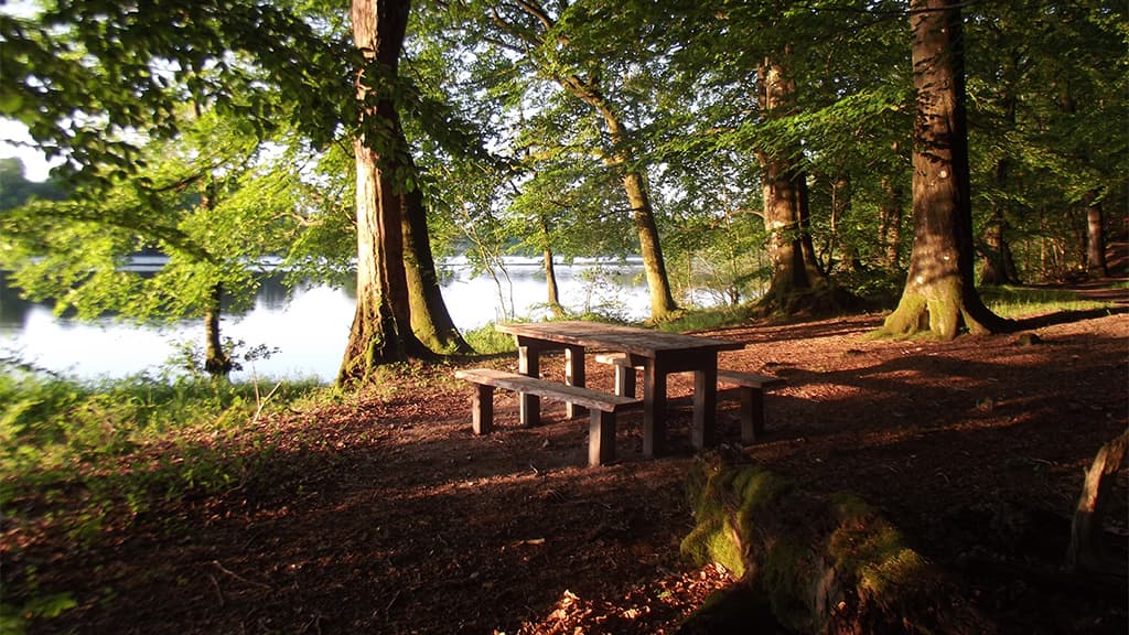 Aftenstemning ved Jels søerne