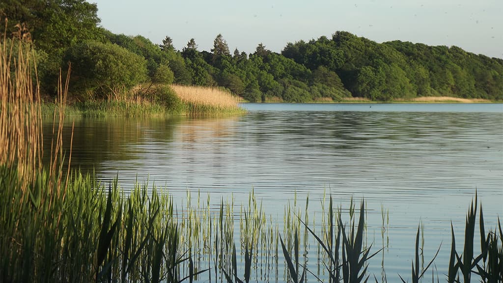 Jels Midtsø, vandretur