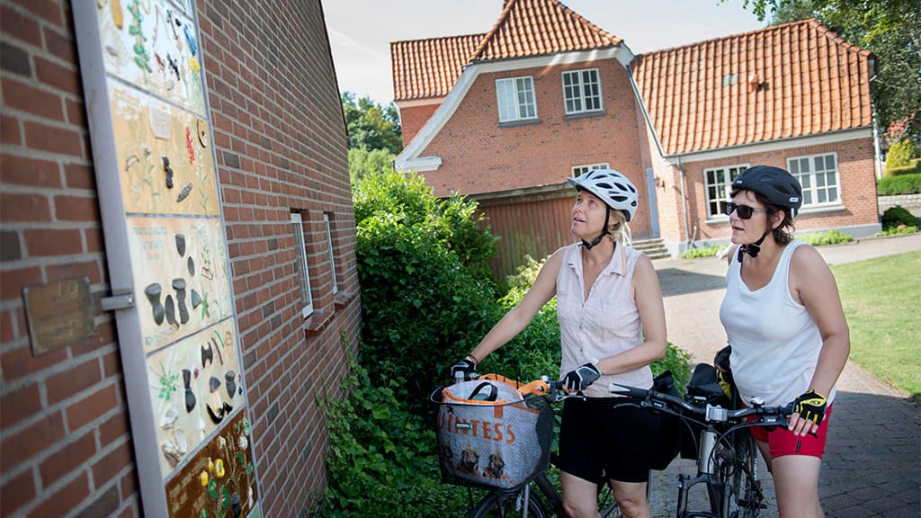 Hærvejens Tidstavle, Bække