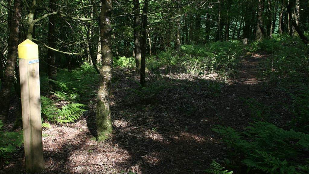 Kanonstillingen ved Dover