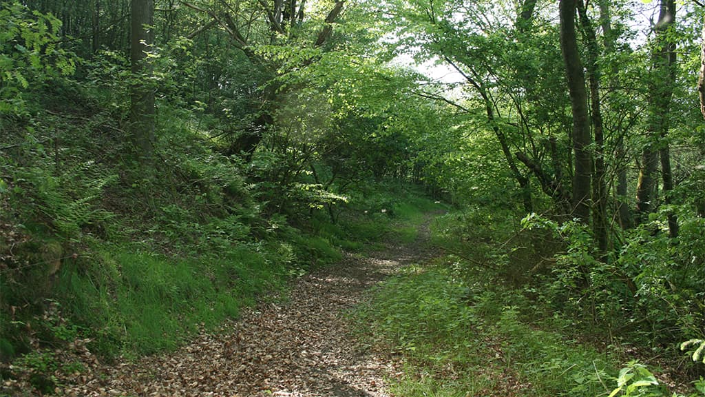 Kanonstillingen ved Dover