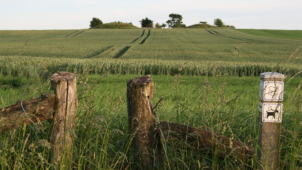 Lokes Høje, Københoved