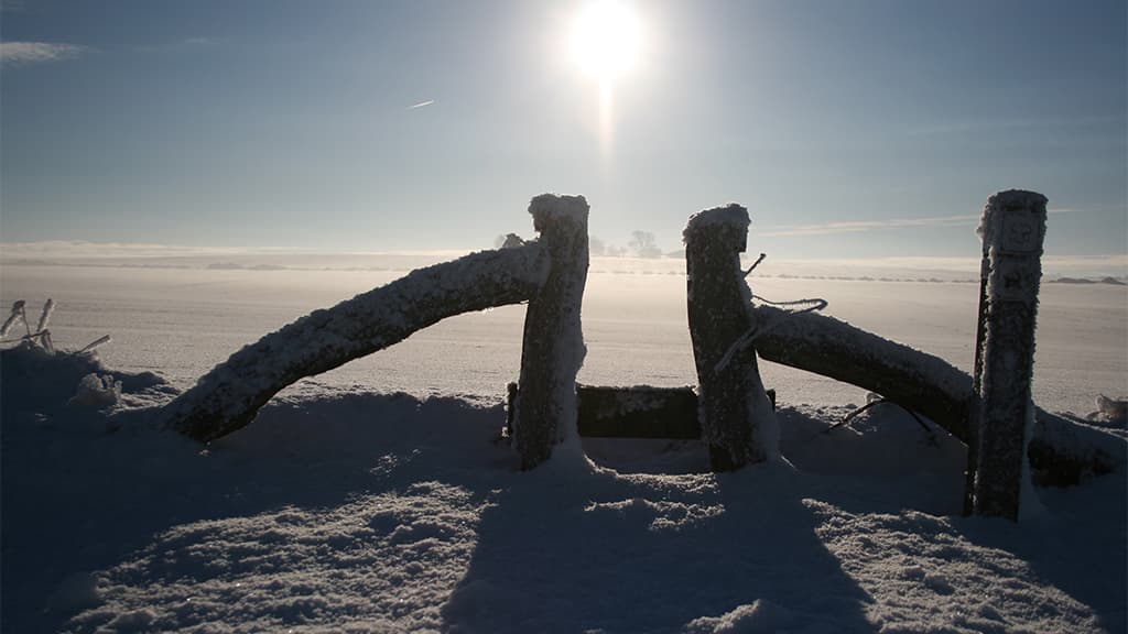 Lokes Høje, Københoved