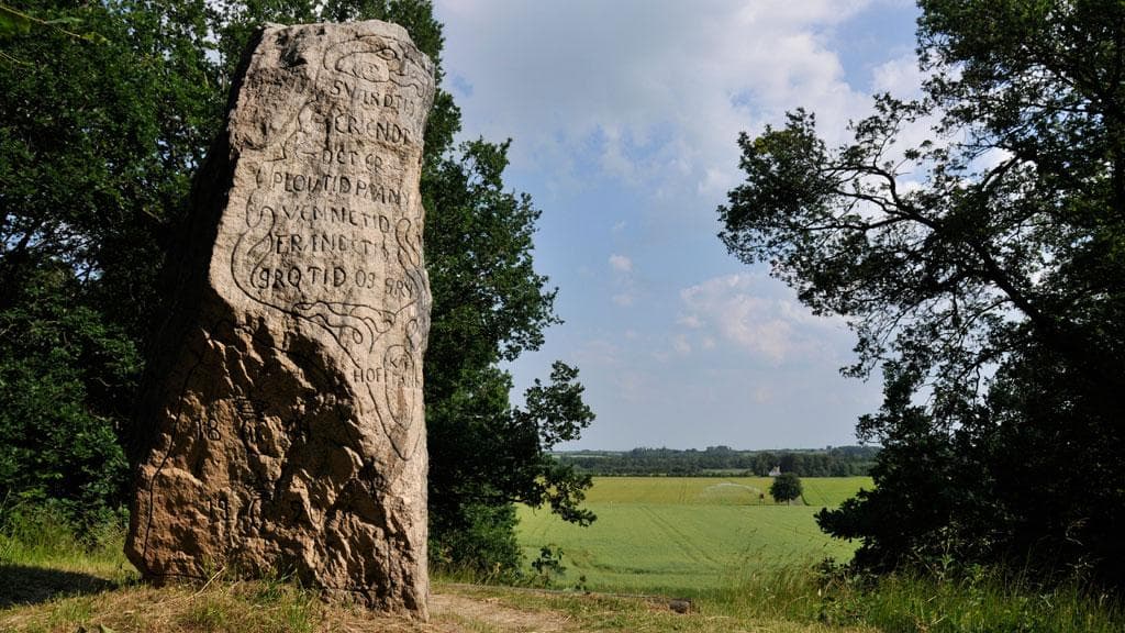 Genforeningssten i Skibelund Krat