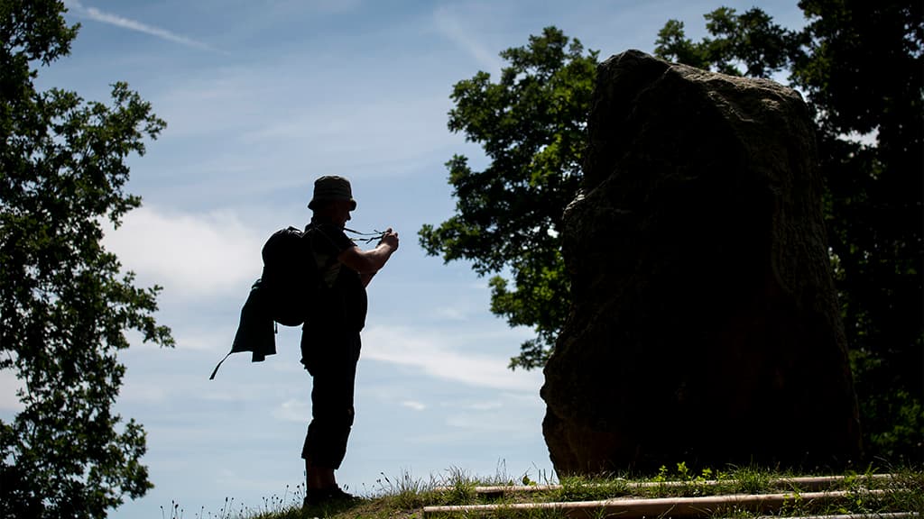 Skibelund Krat, genforeningsstenen