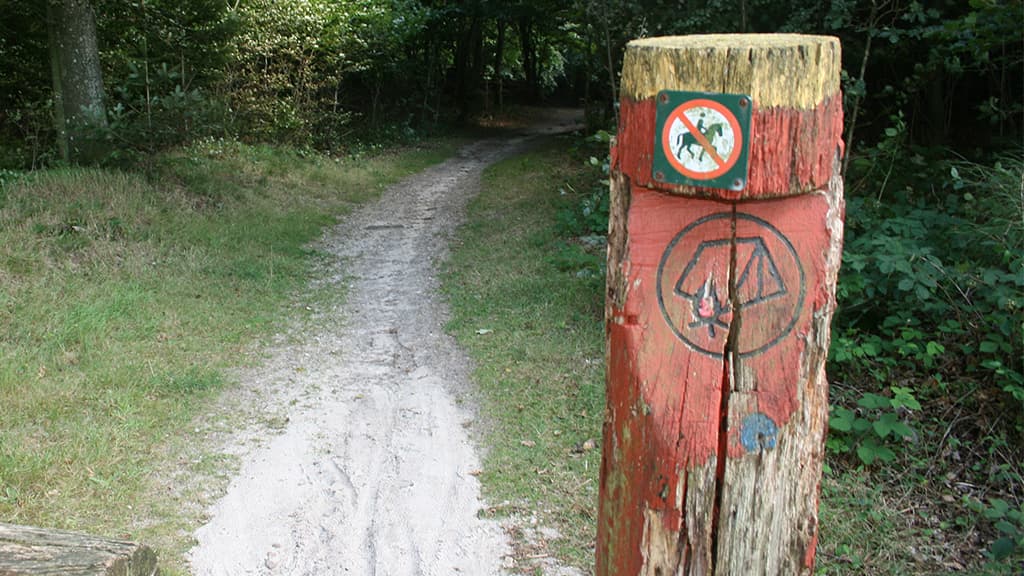 Barsbøl Shelter, Jels