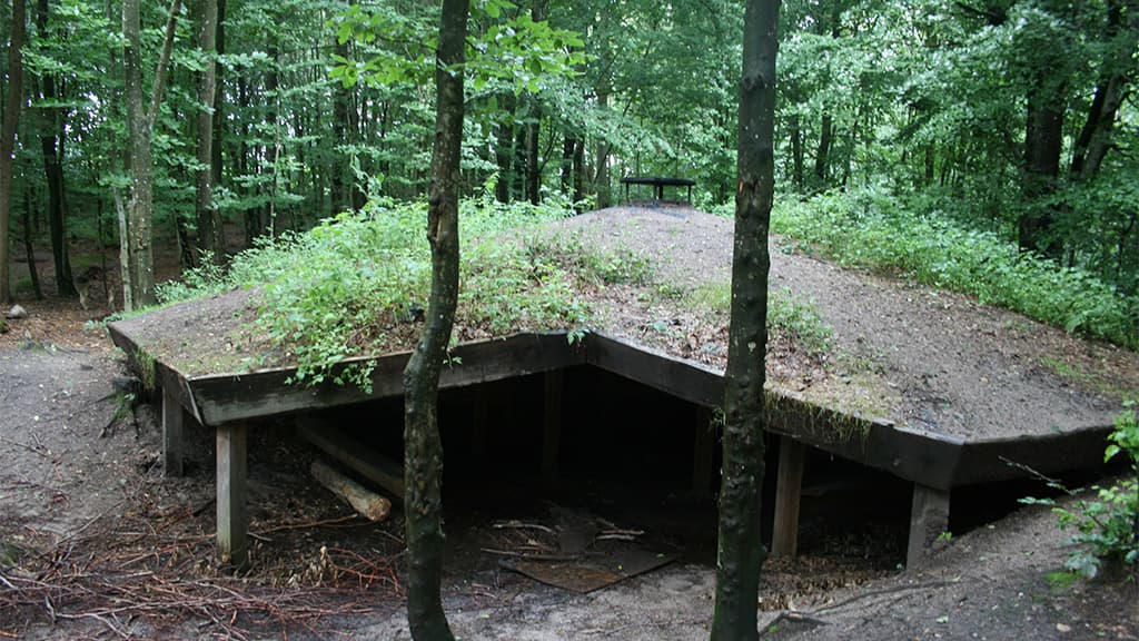 Shelter ved Jels Voldsted