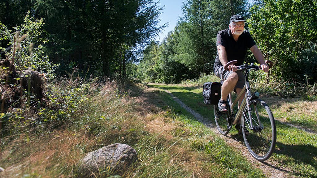 Stursbøl Plantage - langs Hærvejen