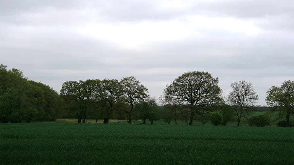 Skeldiger mellem Askov og Vejen