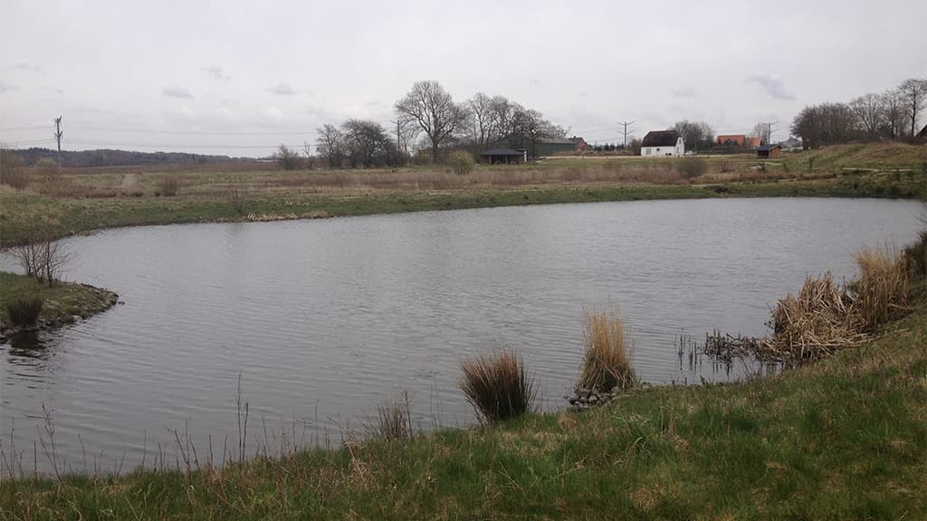 Bålhytte og shelter ved Skodborg Børnesø