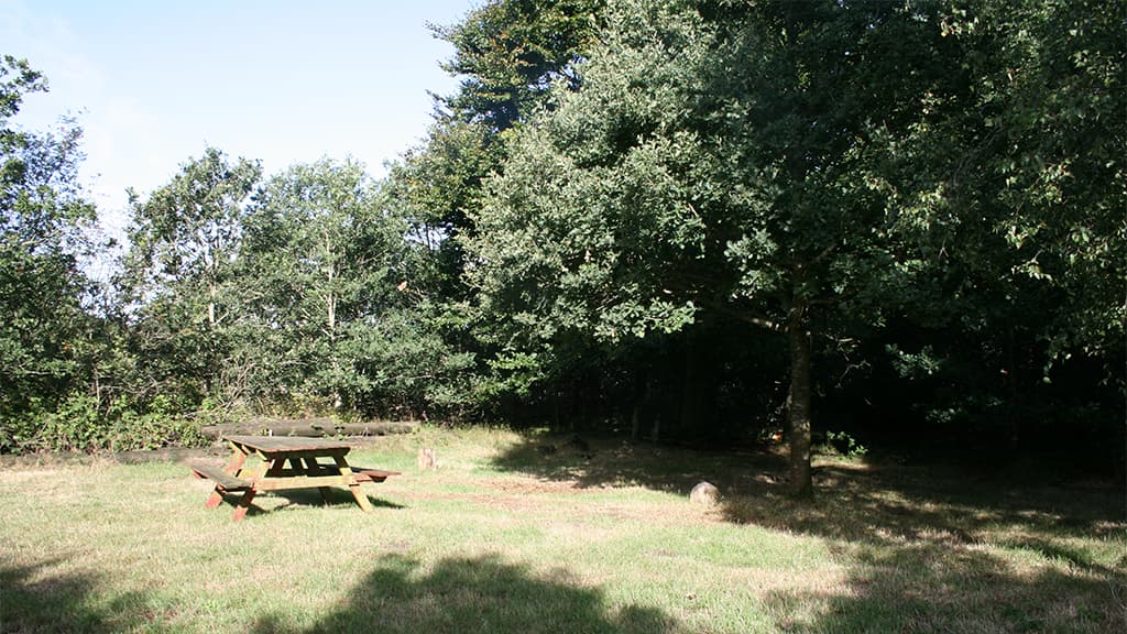 Teltplads ved Andst Å