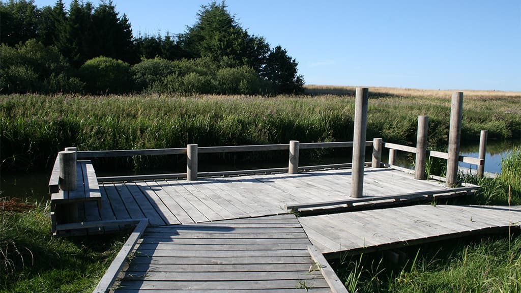 Handicapvenlig fiskeplads Kongeåen