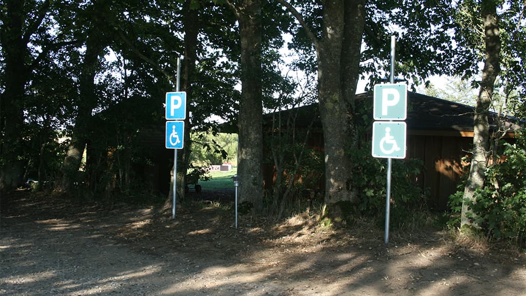 Handicapvenlig fiskeplads Kongeåen