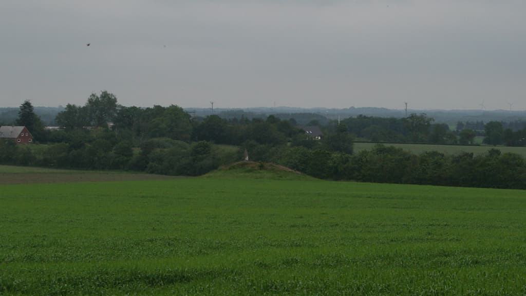 Vildtbanestenen ved Læborg