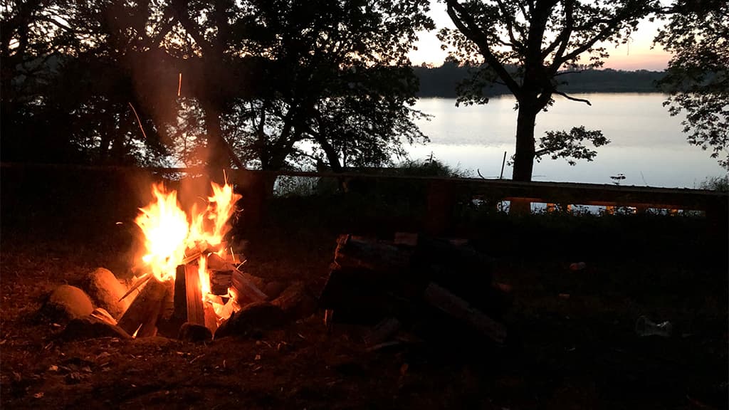 Udsigt fra Shelter Frejas Gård, Jels