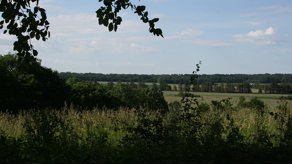 Udsigt over Kongeådalen fra Jelshøj rasteplads